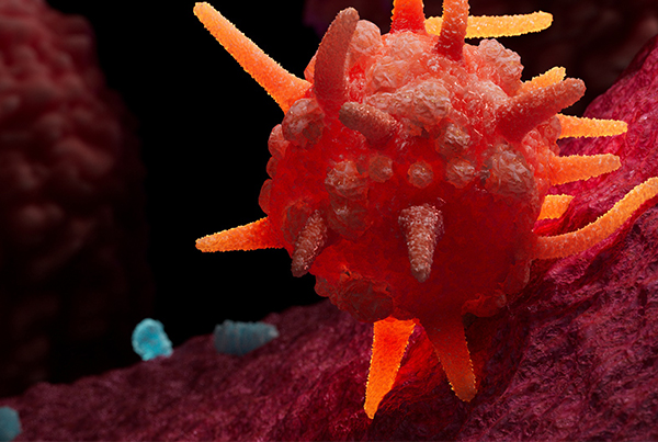 T-cell